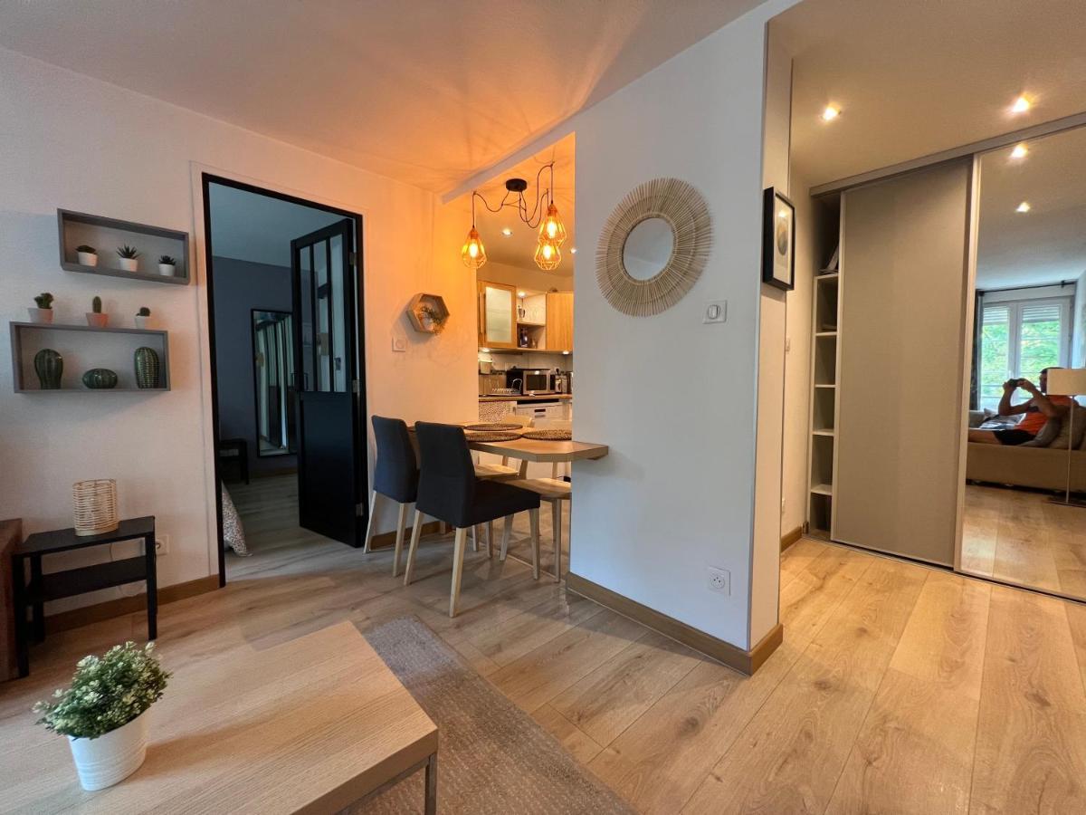 Confort Appartement Proche Gare Et Centre Страсбург Экстерьер фото