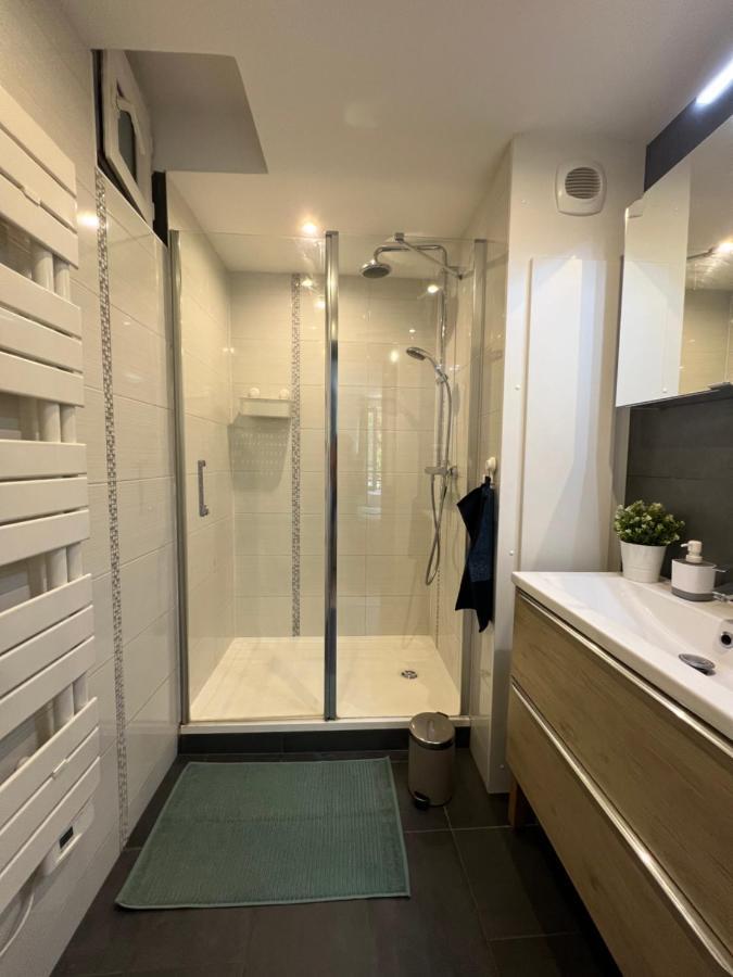 Confort Appartement Proche Gare Et Centre Страсбург Экстерьер фото